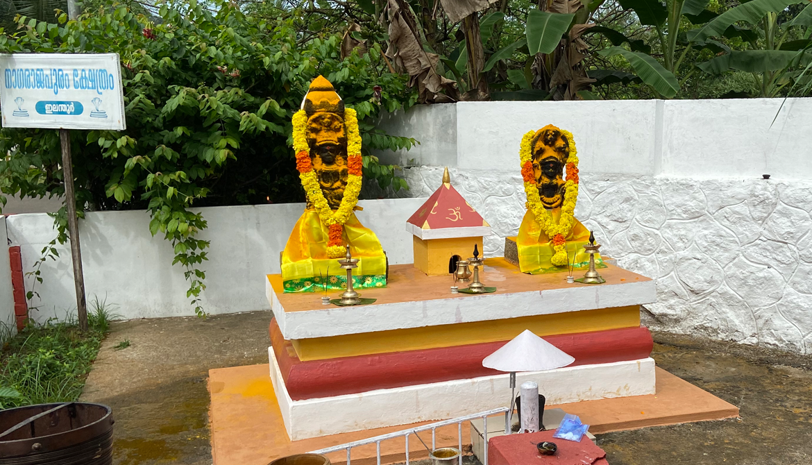 Idols of Nagaraja and Nagayakshi, Sree Nagarajapuram Temple - Elanthoor